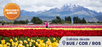Exclusivo Tulipanes Epuyen Premium